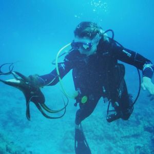 Meet your Posher, Caitlin